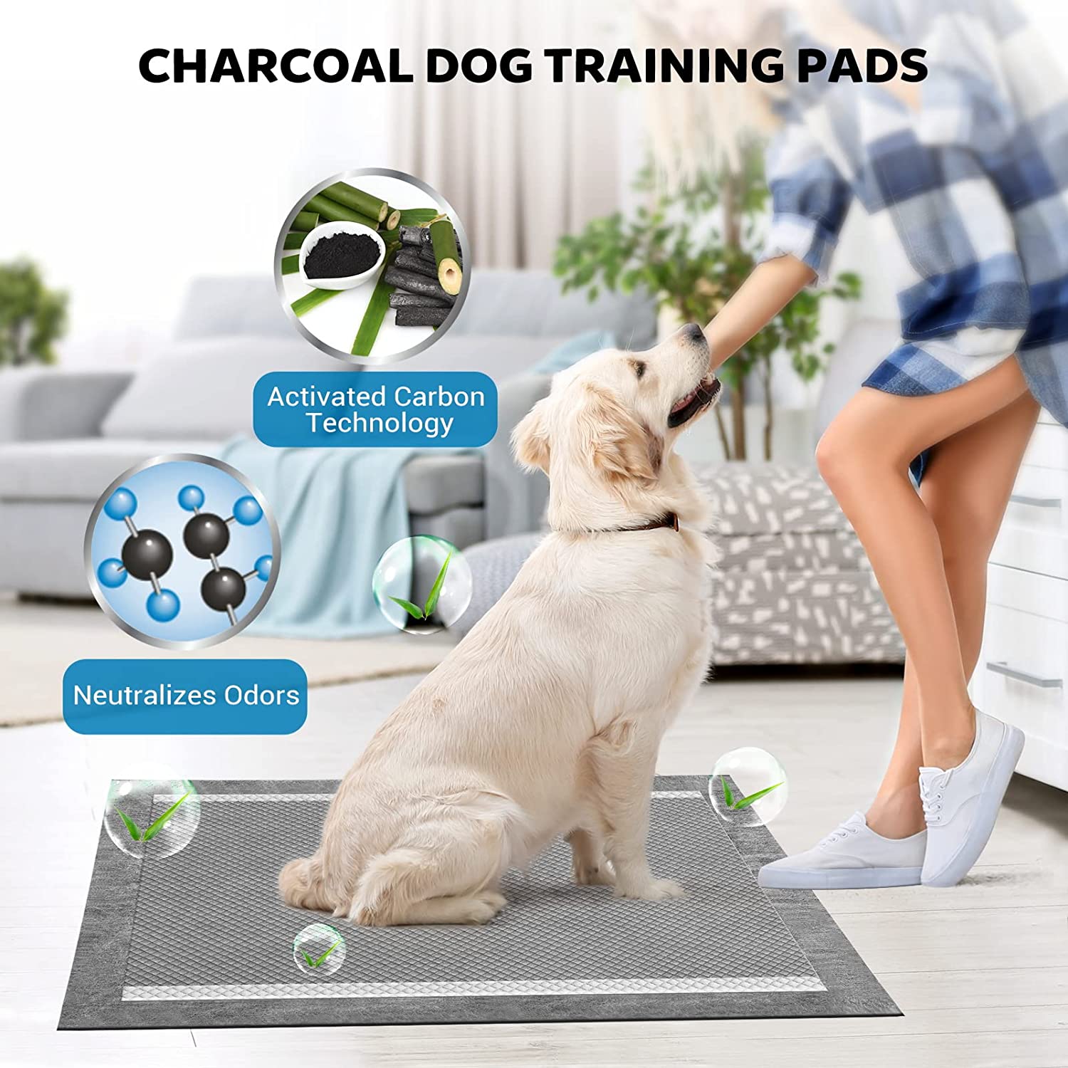 Best Pee Pads For Dogs