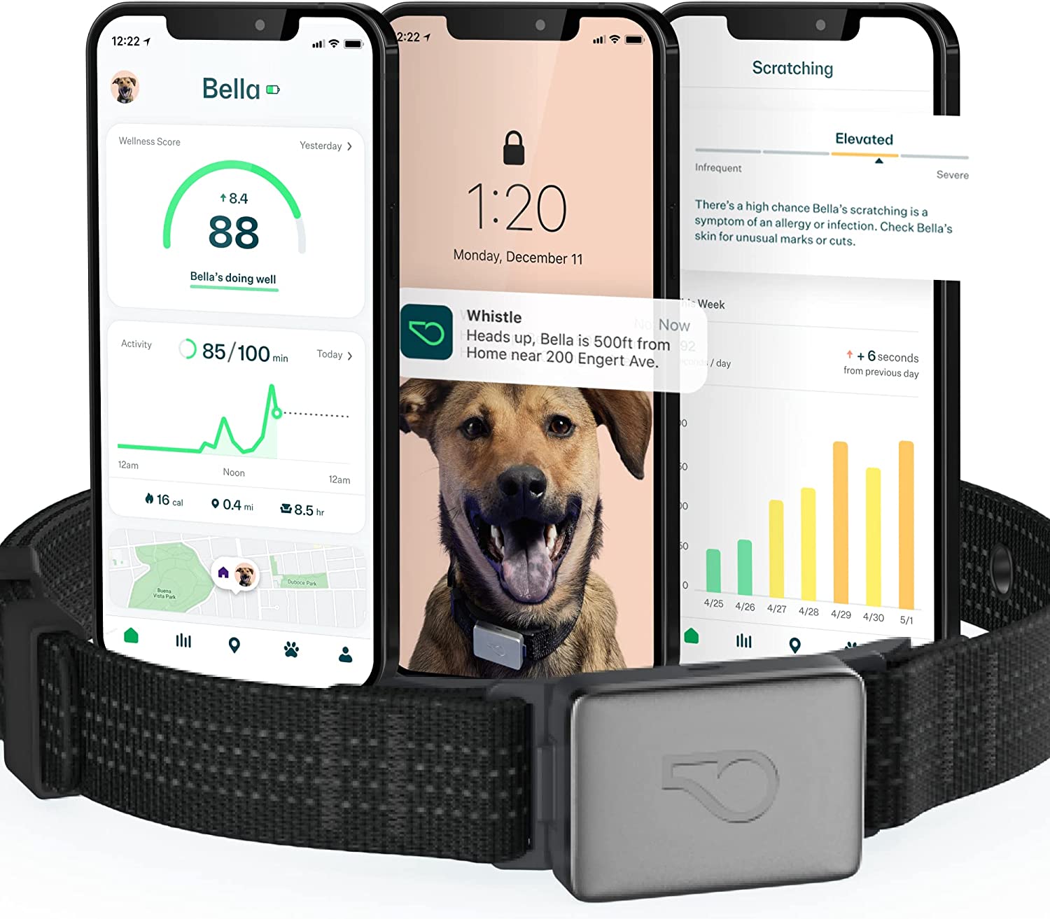 Fi Smart Dog Collar